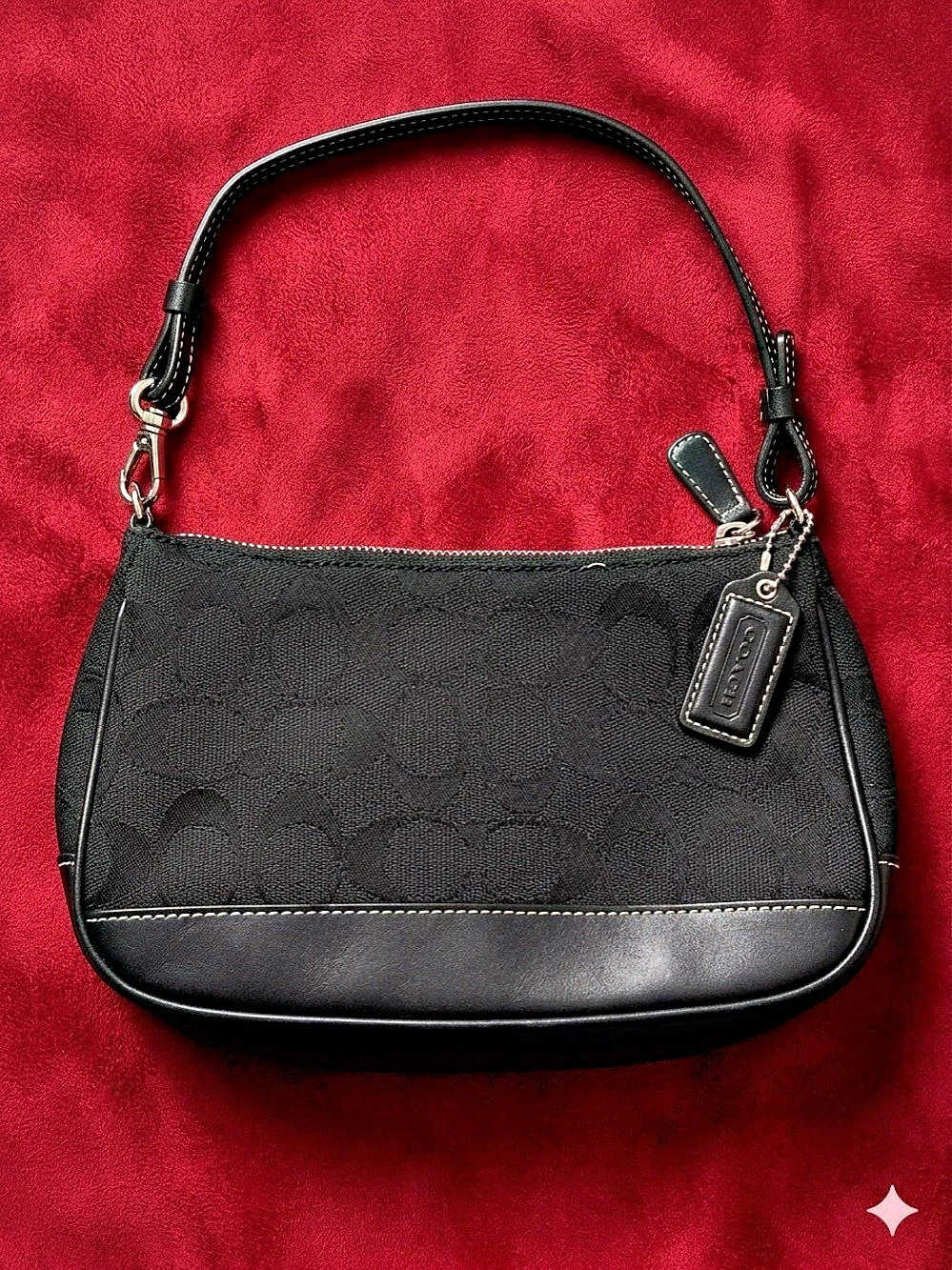 Vintage Coach  Bag
